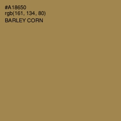 #A18650 - Barley Corn Color Image